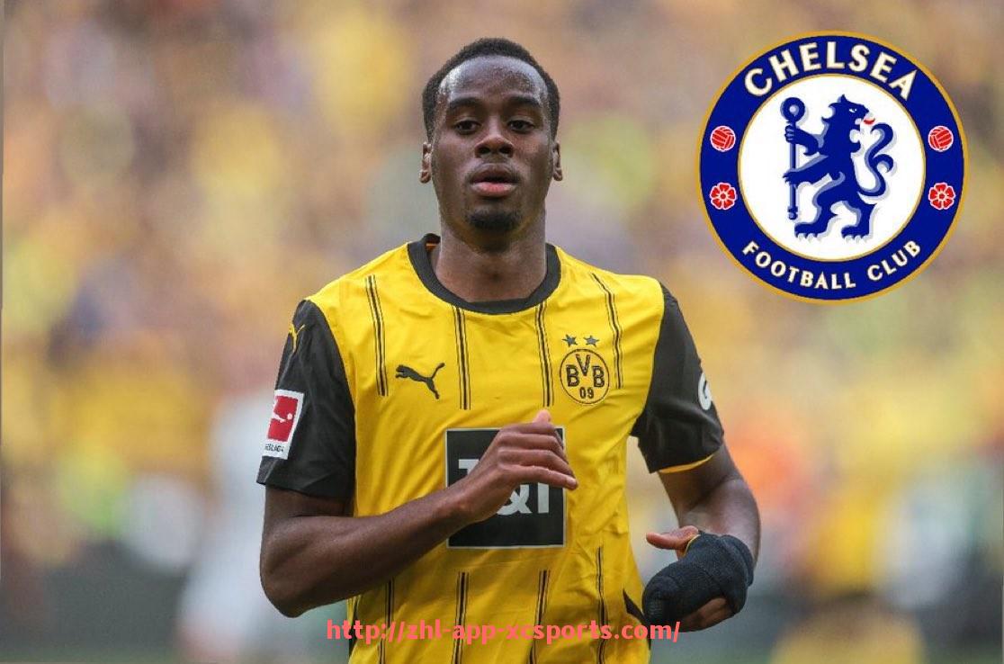 杏彩体育-世俱杯主教练沟通权利条款细化与实操指南