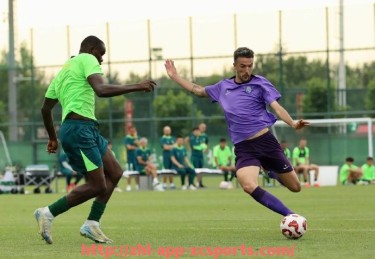 杏彩体育-西甲联赛全队积分榜排名与年度数据详解