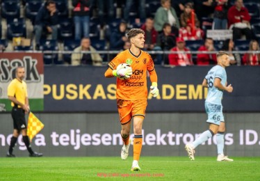 杏彩体育-英超最佳球员奖杯历史及获奖名单