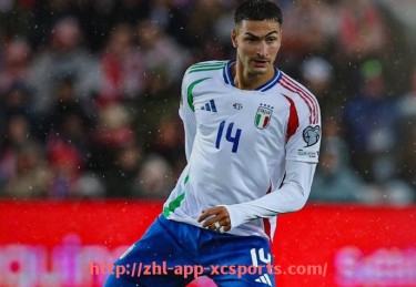 杏彩体育-德甲篮球队实力介绍及篮球项目发展现状