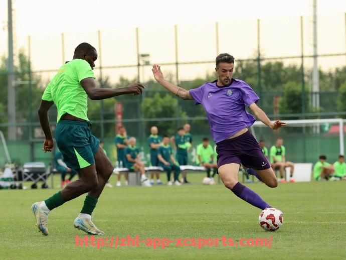 杏彩体育-火箭队现场直播视频资源整理