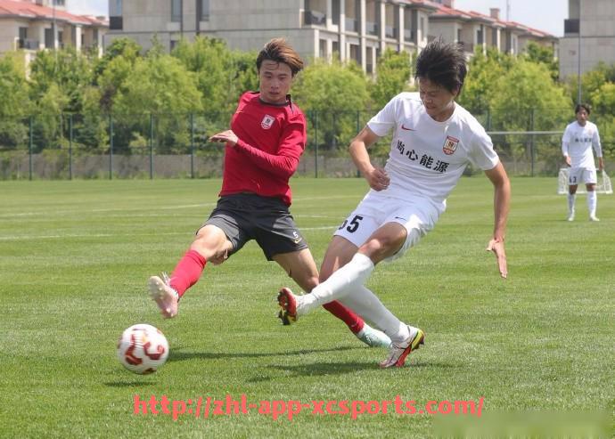 杏彩体育-英超球员英语学习及语言能力对职业发展的影响